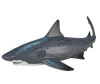  Konik Тупорылая акула - Konik Тупорылая акула