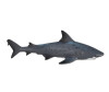  Konik Тупорылая акула - Konik Тупорылая акула