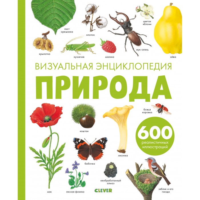 Clever Бадреддин Д. Книжка Любимая детская энциклопедия Природа ...