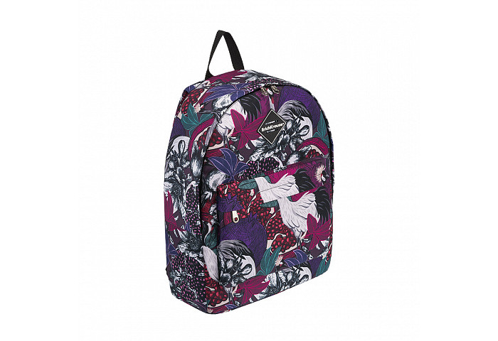 

ErichKrause Рюкзак EasyLine Pomegranate 17 л, Рюкзак EasyLine Pomegranate 17 л