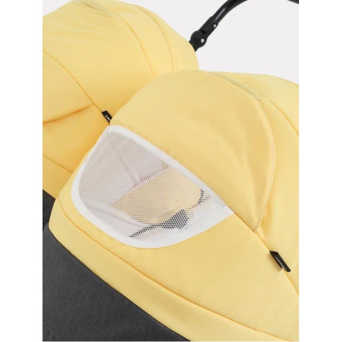 Rant Коляска для близнецов Siena Duo 2 в 1