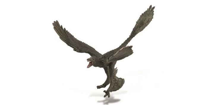 

Collecta Микрораптор, Микрораптор