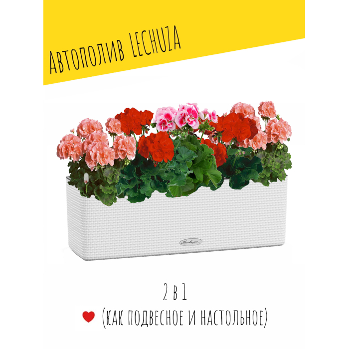 

Lechuza Настольное кашпо с автополивом Cube Color Triple 40х14х14 см, Настольное кашпо с автополивом Cube Color Triple 40х14х14 см