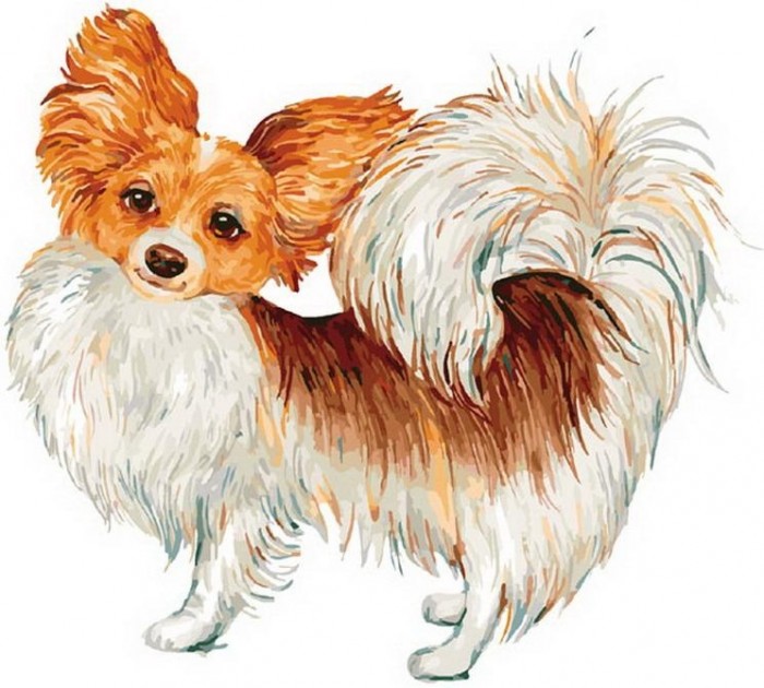 Белоснежка Картина по номерам на холсте Собака-бабочка 40х30 см