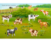  Робинс Наклейки с заданиями Такие разные животные - Робинс Наклейки с заданиями Такие разные животные