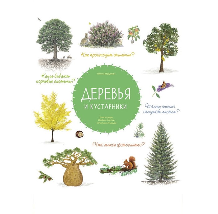 

Стрекоза Деревья и кустарники, Деревья и кустарники