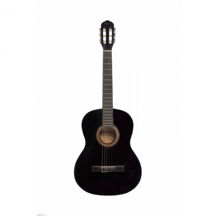 Музыкальные инструменты Terris Классическая Гитара TC-390A BK цена и фото
