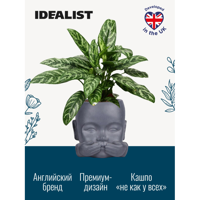 

Idealist Lite Кашпо для цветов Голова Малыш-монах Ничего не говорю 24.5х24х23.5 см 4.9 л, Кашпо для цветов Голова Малыш-монах Ничего не говорю 24.5х24х23.5 см 4.9 л