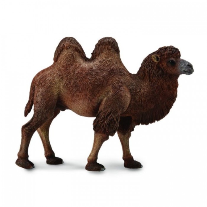 

Collecta Двугорбый верблюд L, Двугорбый верблюд L