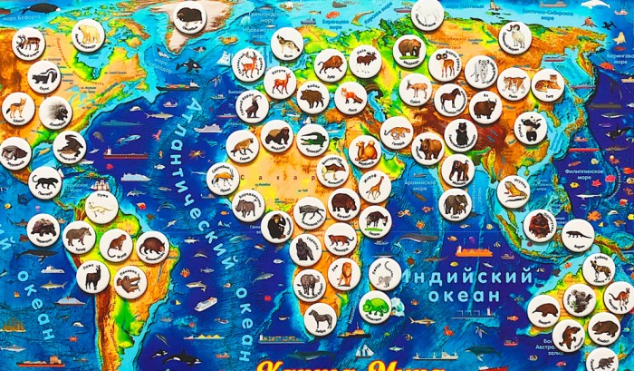Геомагнит Магнитный геопазл Карта мира и игровой набор Животные мира