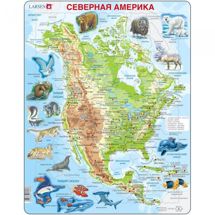Пазлы Larsen Пазлы Животные Северной Америки плакат дрофа медиа животные северной америки 2881
