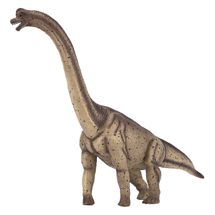  Konik Брахиозавр делюкс