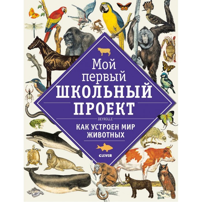 Clever Мой первый школьный проект. Как устроен мир растений - Акушерство.Ru