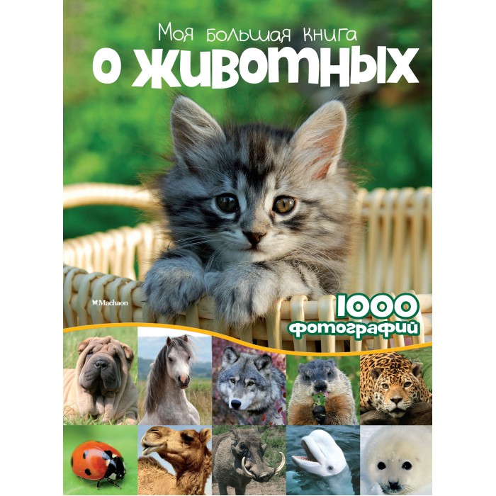 Махаон Моя большая книга о животных. 1000 фотографий clever первые книжки малыша большая книга а 978 5 00211 053 7