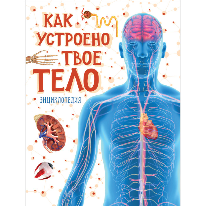 

Росмэн Энциклопедия Как устроено твое тело, Энциклопедия Как устроено твое тело