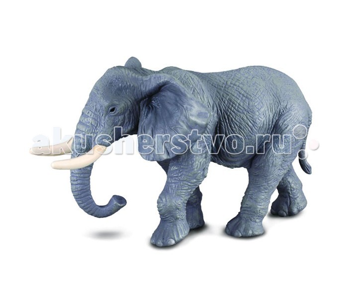 

Collecta Фигурка Африканский слон 14 см, Фигурка Африканский слон 14 см