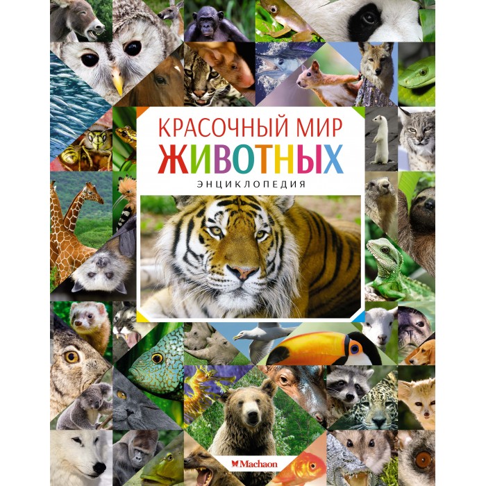 Махаон Энциклопедия Красочный мир животных