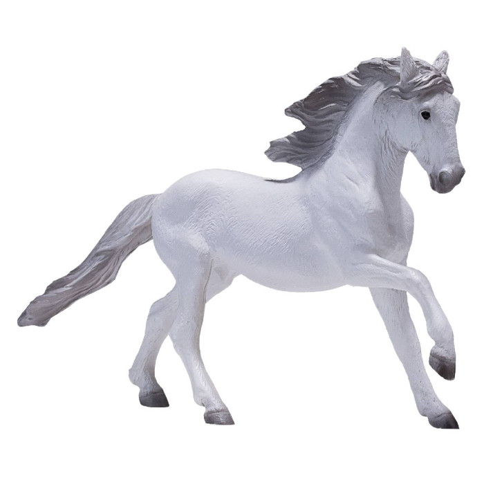 Konik Лузитанская лошадь белая
