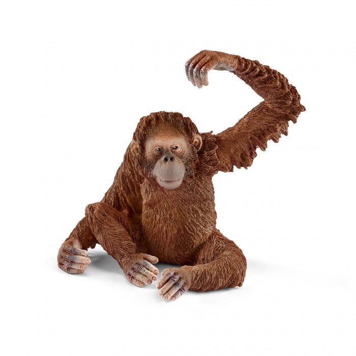 

Schleich Фигурка Орангутан самка, Фигурка Орангутан самка