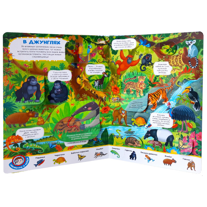 Malamalama Виммельбух с окошками Животные