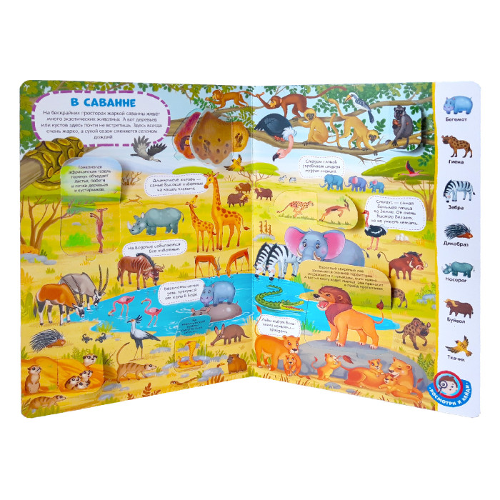 Malamalama Виммельбух с окошками Животные