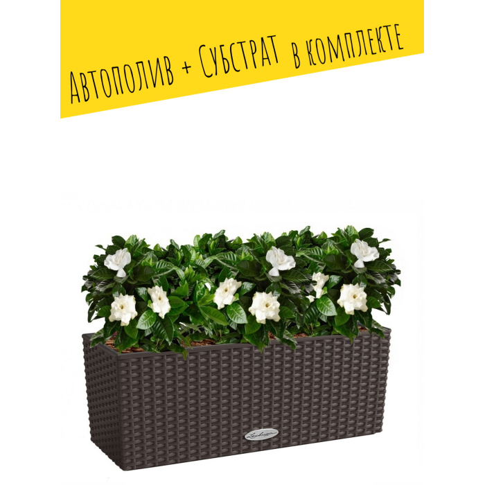 

Lechuza Подвесное кашпо с автополивом BAlconera Cottage 50 с субстратом 50х19х19 см 8 л, Подвесное кашпо с автополивом BAlconera Cottage 50 с субстратом 50х19х19 см 8 л