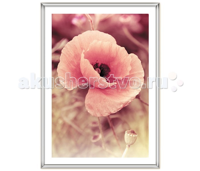 

Veld CO Фоторамка Poster 70х100 см, Фоторамка Poster 70х100 см