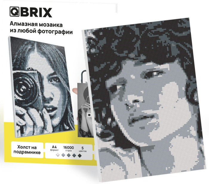 Qbrix Алмазная фото-мозаика на подрамнике А4 Original