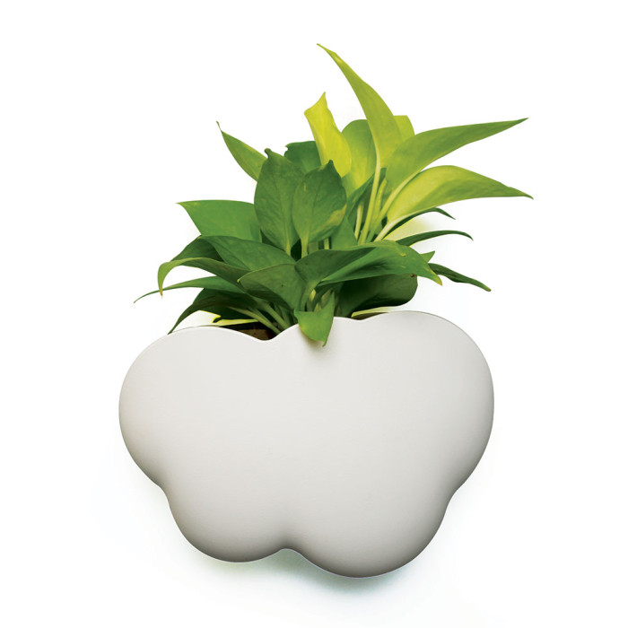 

Qualy Кашпо Cloud, Кашпо Cloud