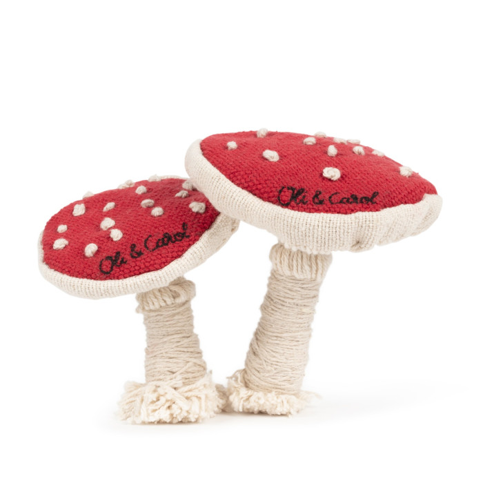 Oli&Carol     Diy Spot and Spotty the Mushroom -    
