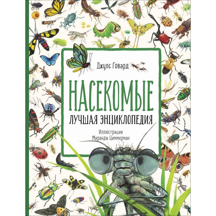 

Росмэн Насекомые Лучшая энциклопедия, Насекомые Лучшая энциклопедия