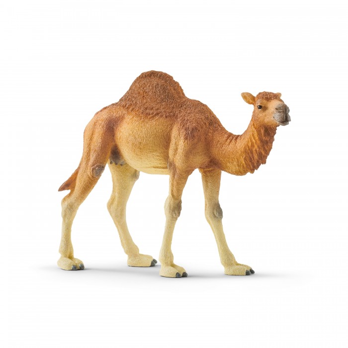 

Schleich Одногорбый верблюд, Одногорбый верблюд