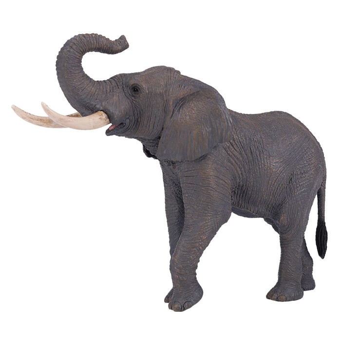  Konik Африканский слон самец