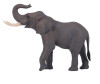  Konik Африканский слон самец - Konik Африканский слон самец