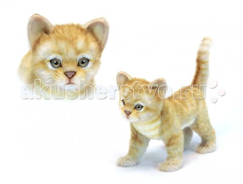 Мягкая игрушка Hansa Котёнок стоящий рыжий 30 см копилка котёнок кофуку 17 см гипс g015 18
