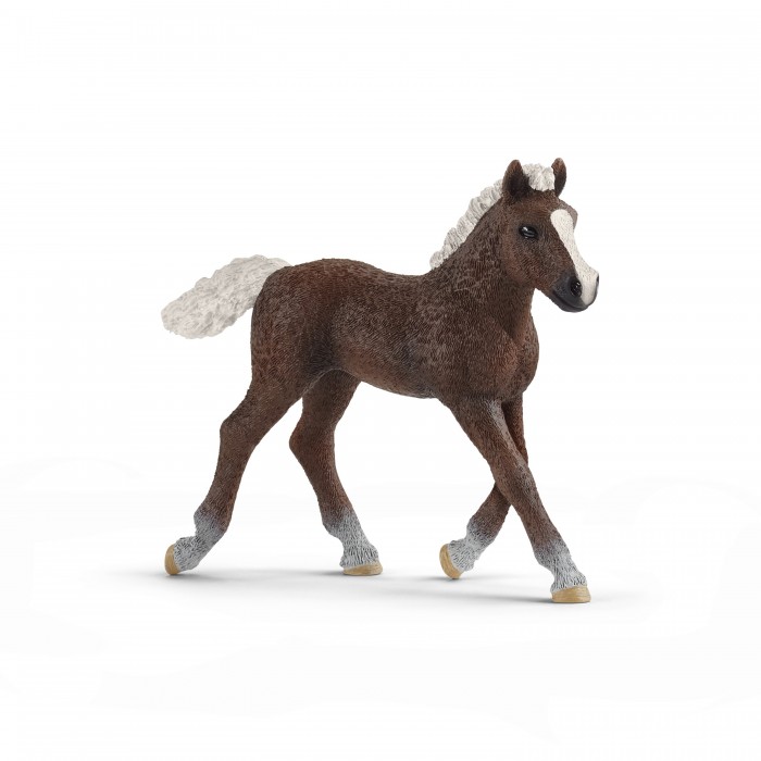 

Schleich Фигурка Шварцвальдский жеребенок, Фигурка Шварцвальдский жеребенок