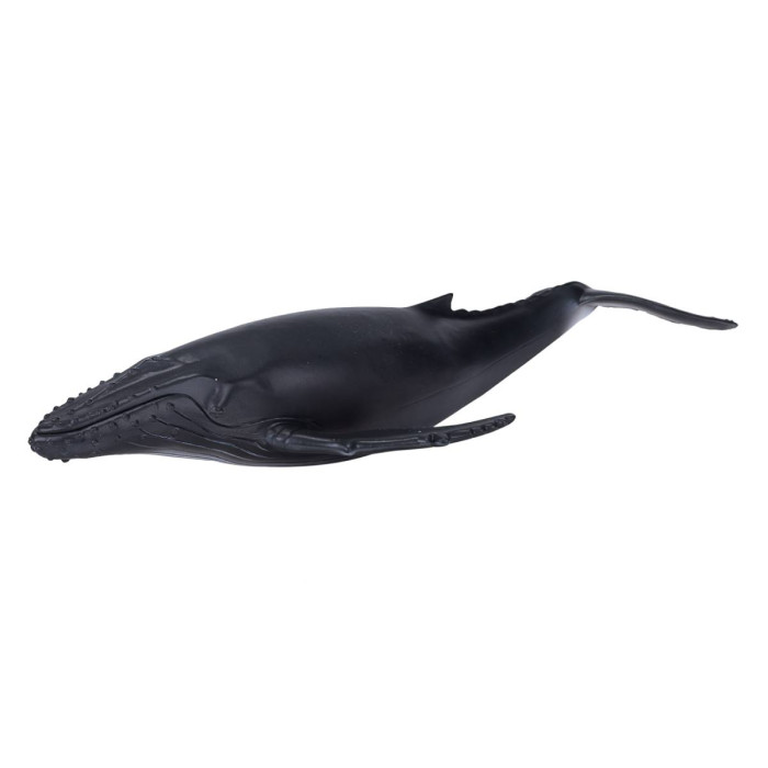 Konik Горбатый кит