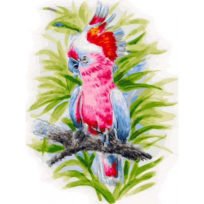 Белоснежка Картина по номерам на холсте Розовый попугай 40х30 см